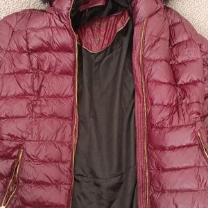 Calvin Klein Lg Marron